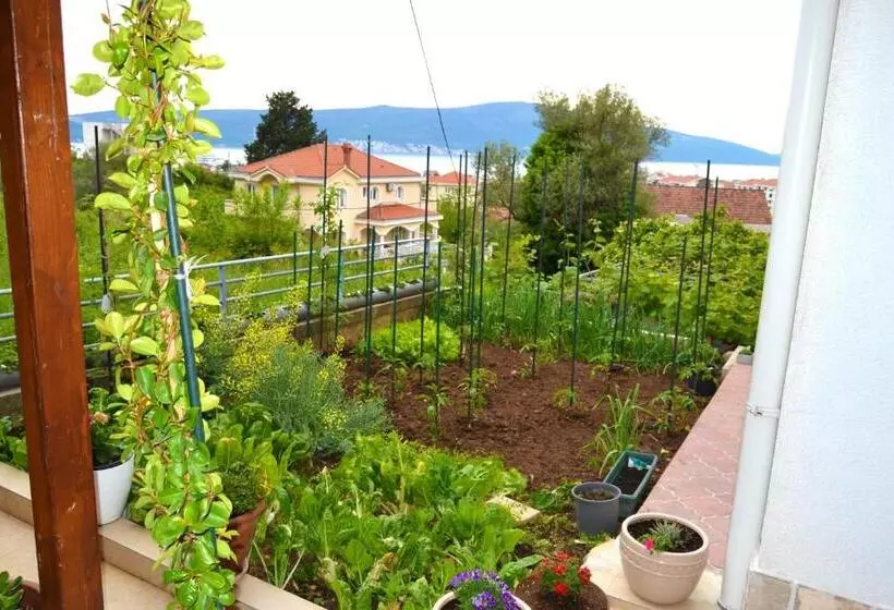 تختخواب و صبحانه Tivat Apartments