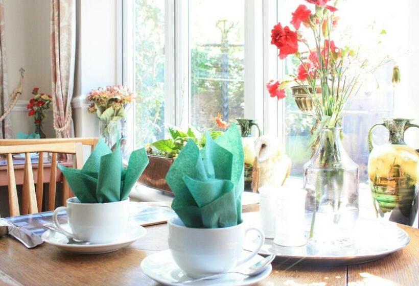 بنسيون The Limes