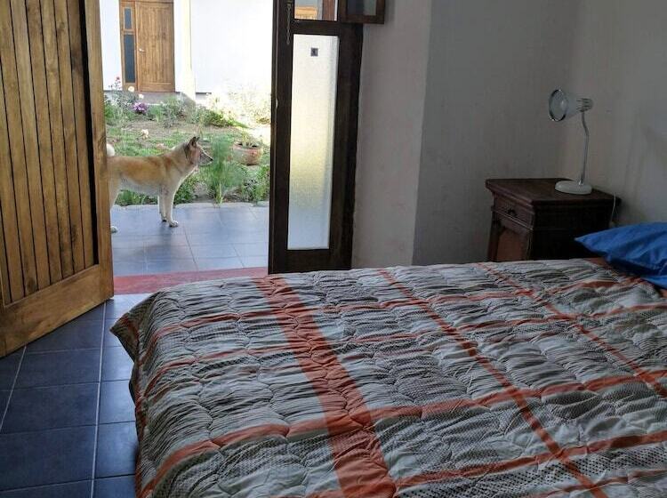 پانسیون Xela Columbus Guest House