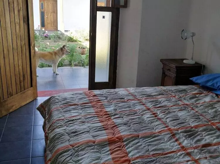 پانسیون Xela Columbus Guest House