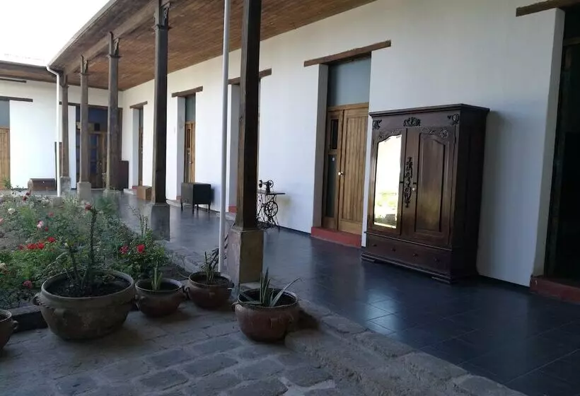 پانسیون Xela Columbus Guest House