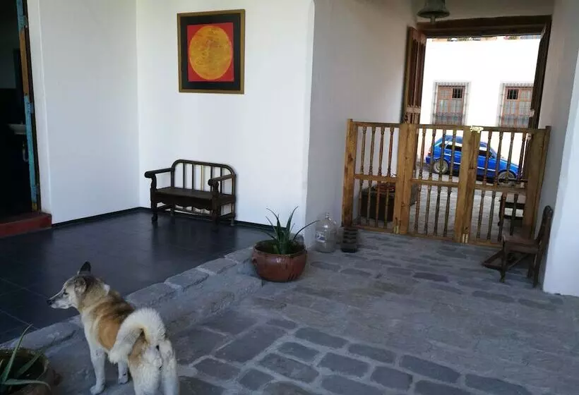 پانسیون Xela Columbus Guest House
