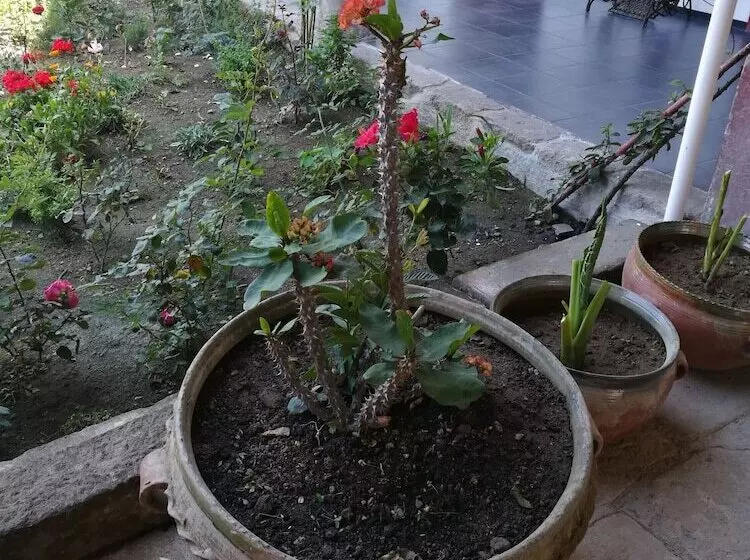 پانسیون Xela Columbus Guest House