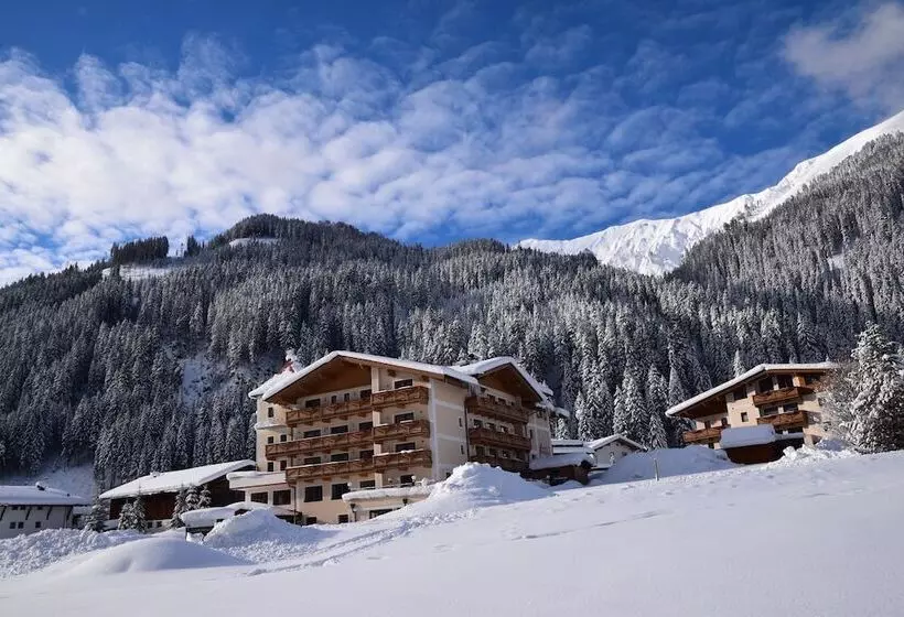 Alpinhotel Berghaus Spa