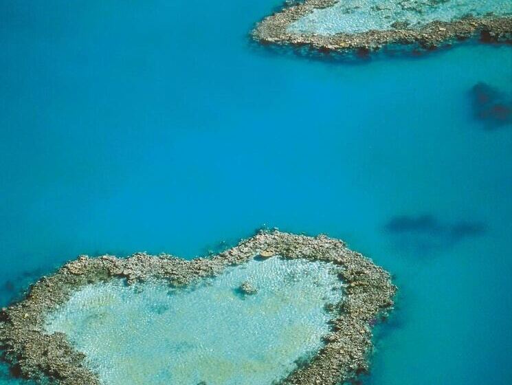 Отель At Waterfront Whitsunday Retreat  Adults Only