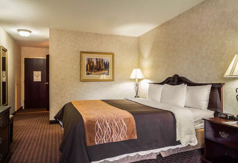 فندق Comfort Inn Silicon Valley East