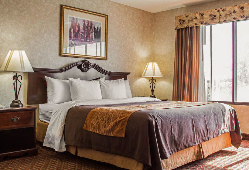 Отель Comfort Inn Silicon Valley East