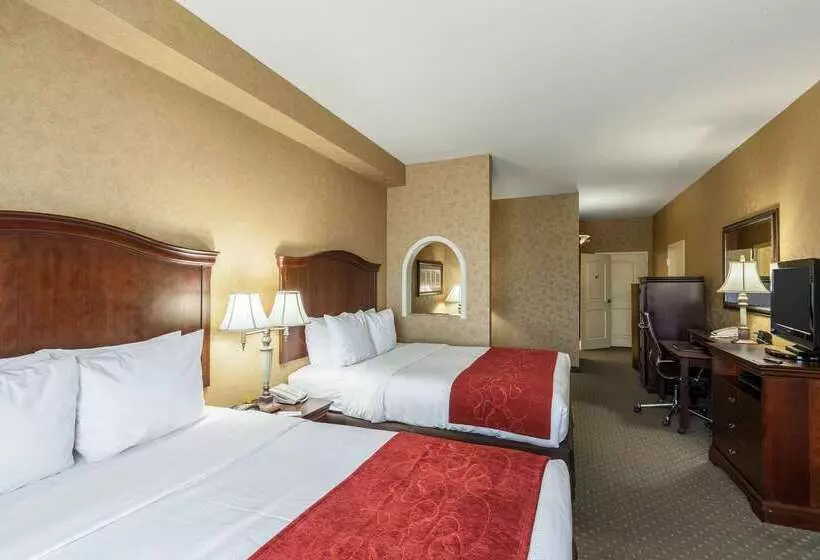 酒店 Comfort Suites Alamo Riverwalk