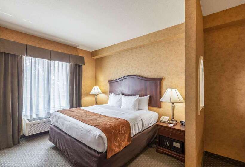 호텔 Comfort Suites Alamo Riverwalk