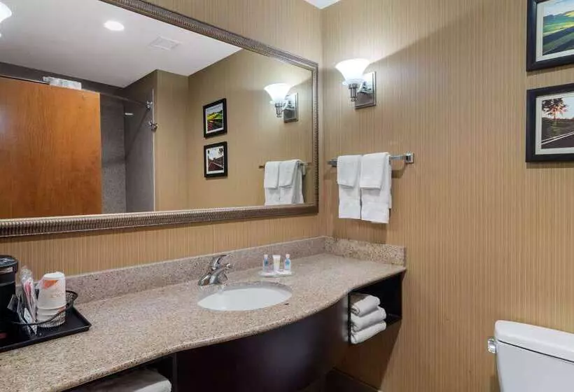 هتل Comfort Suites Byron Warner Robins