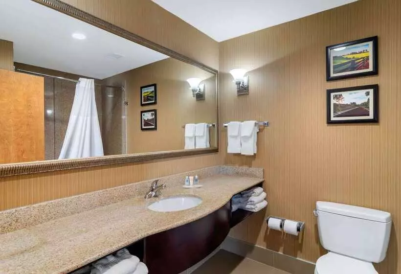 هتل Comfort Suites Byron Warner Robins