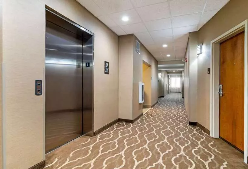 هتل Comfort Suites Byron Warner Robins