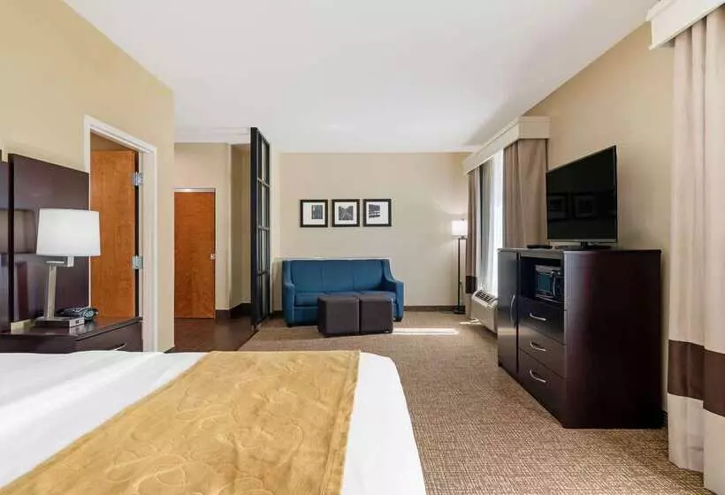 هتل Comfort Suites Byron Warner Robins