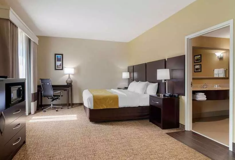 هتل Comfort Suites Byron Warner Robins