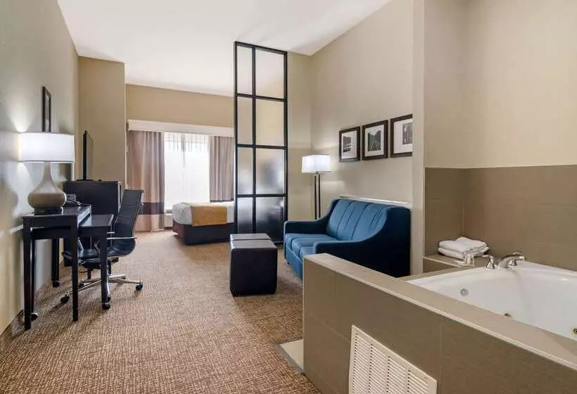 هتل Comfort Suites Byron Warner Robins