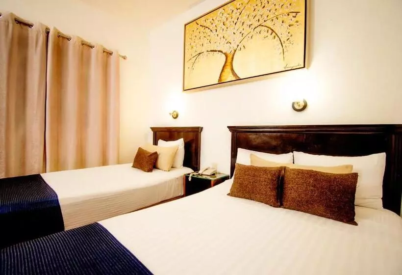 هتل Del Carmen, En El Centro Desayuno Incluido !