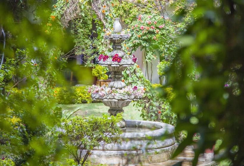 호텔 Jovel   Pago Solo En Efectivo