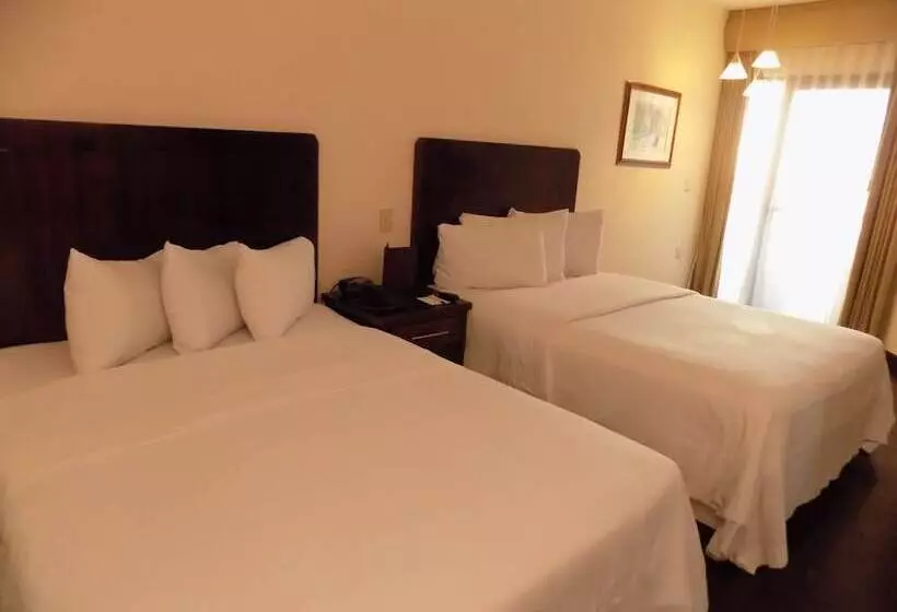 Отель Las Palomas