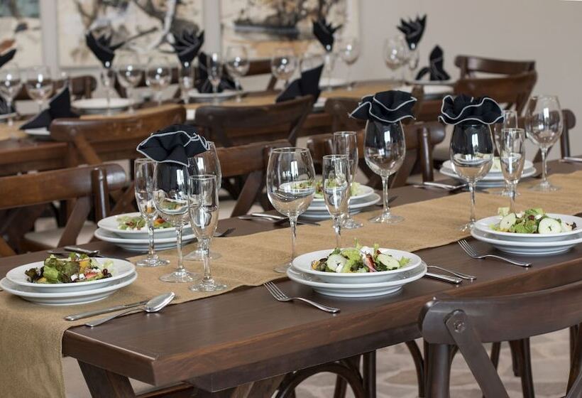 酒店 Rio Tequisquiapan