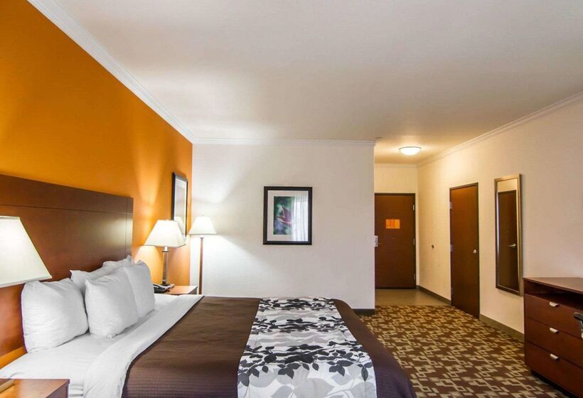 ホテル Sleep Inn & Suites I20