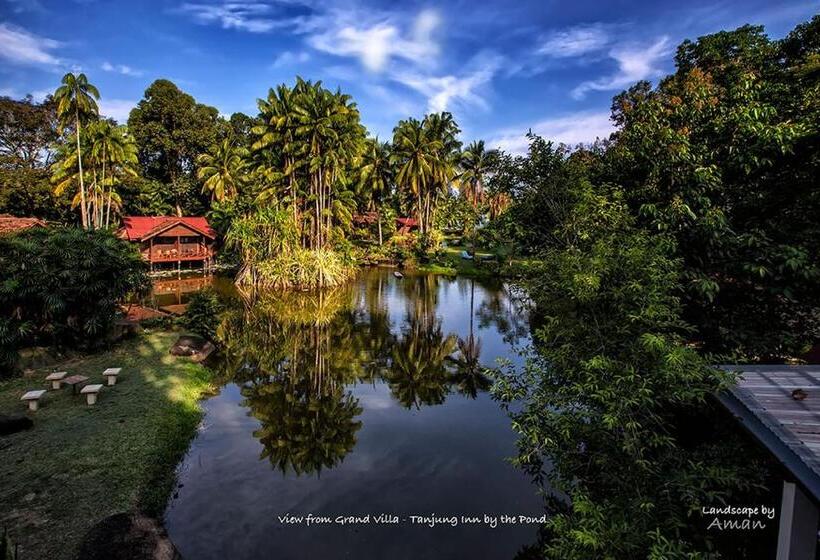 فندق Tanjung Inn