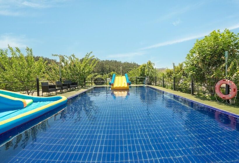 Yeosu Noeul Walk Pet Pension