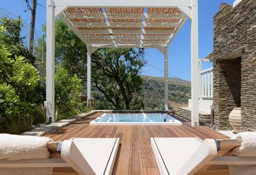 ホテル Casa Di Fiori Andros Suites