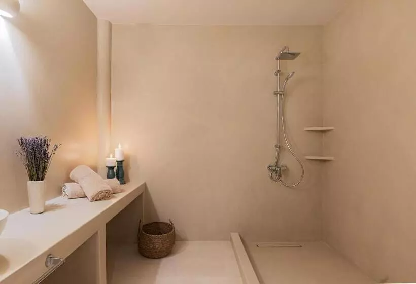 ホテル Casa Di Fiori Andros Suites