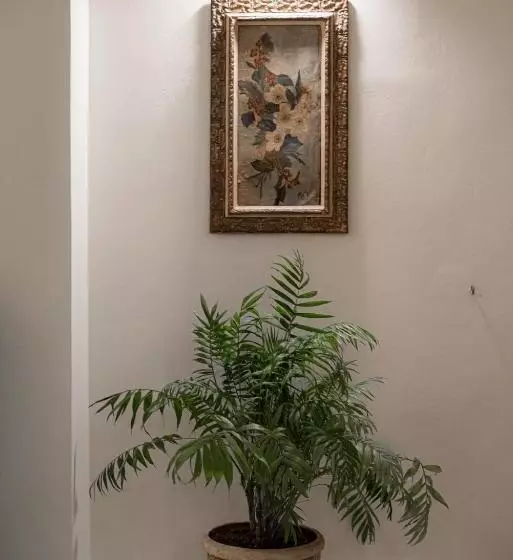 ホテル Casa Di Fiori Andros Suites