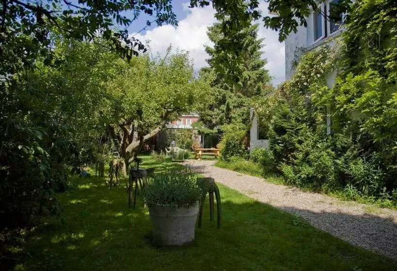 تختخواب و صبحانه Achter Het Witte Huis