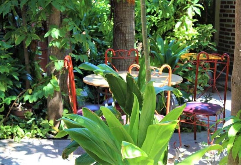 Szálloda Cabañas Rústicas El Benny By Rotamundos