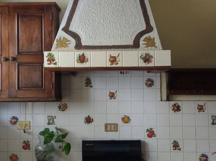 ホテル El Hostalito Sma Hostel