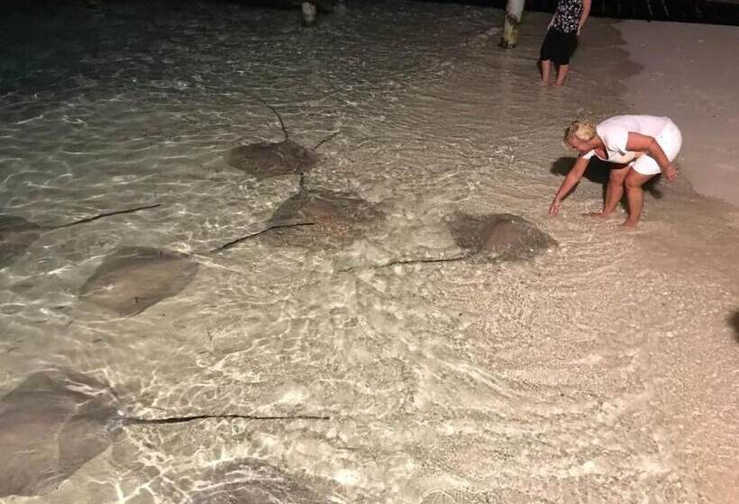 هتل Thundi Sea View