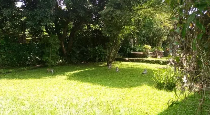 هاستل Karibu Heritage House