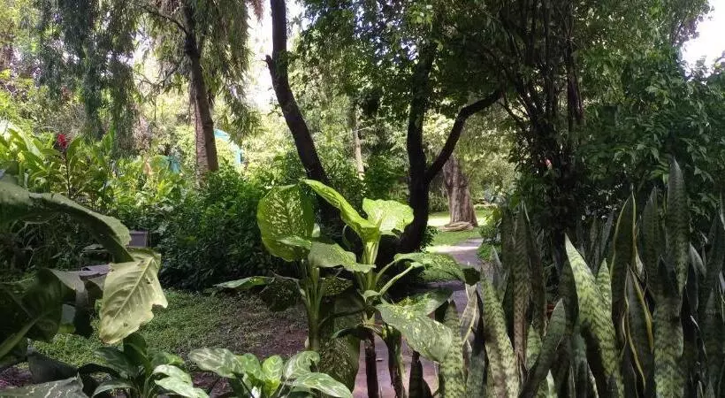 هاستل Karibu Heritage House