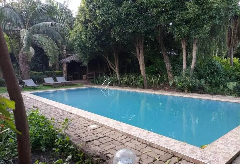 هاستل Karibu Heritage House