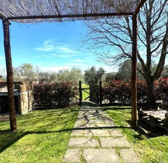 ホテル Agriturismo Poggio Degli Ulivi