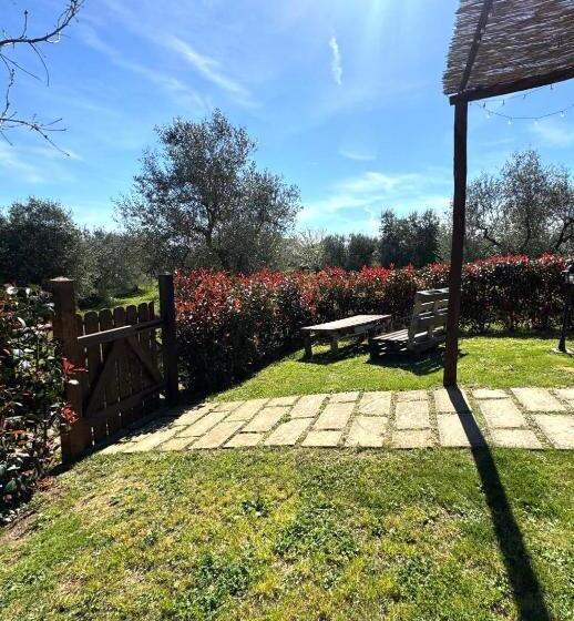 酒店 Agriturismo Poggio Degli Ulivi