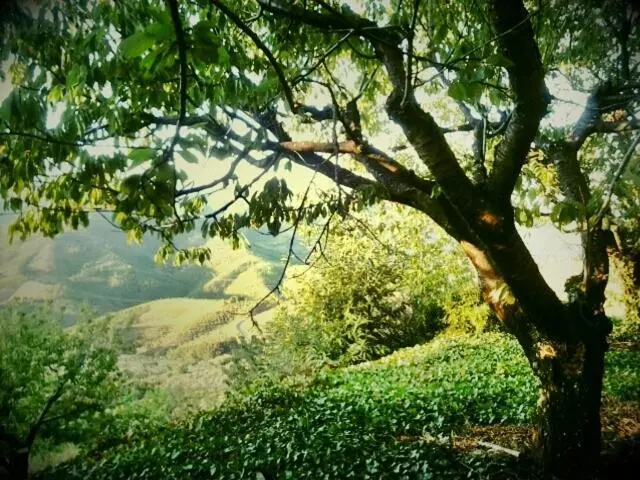 乡村酒店  La Posada Del Casar