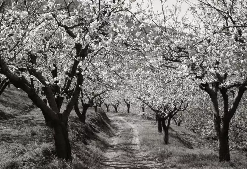 乡村酒店  La Posada Del Casar