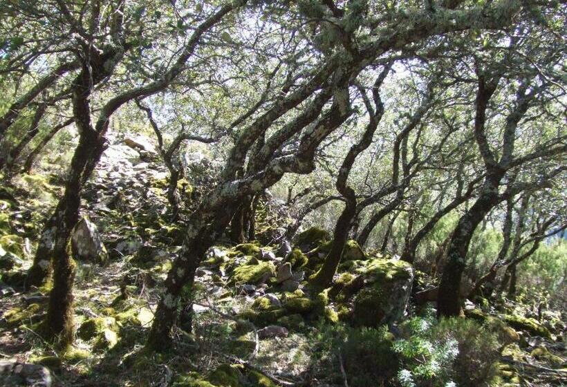 교외 호텔 La Posada Del Casar