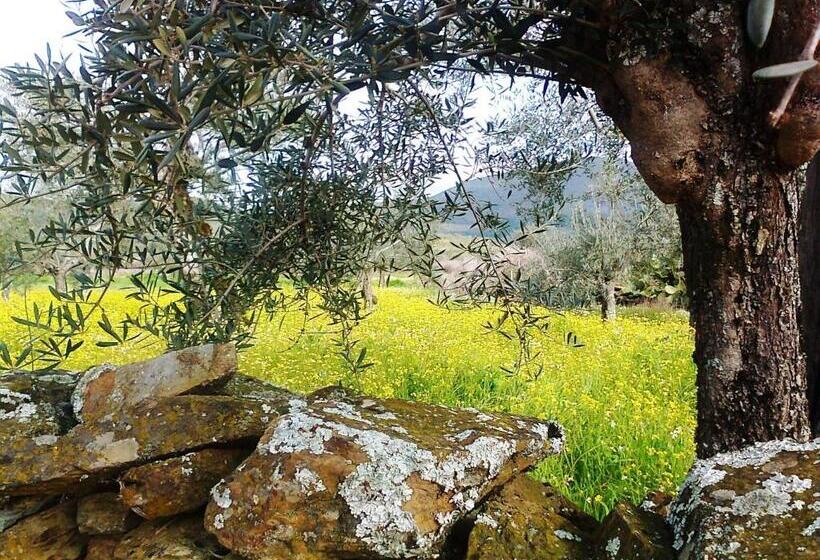 교외 호텔 La Posada Del Casar