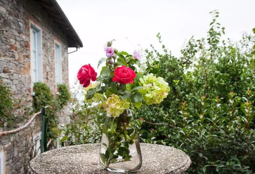B&b Tra Lago E Stelle