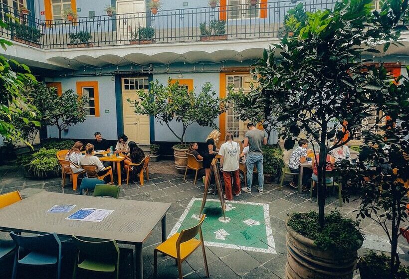 Viajero Cdmx Centro Hostel