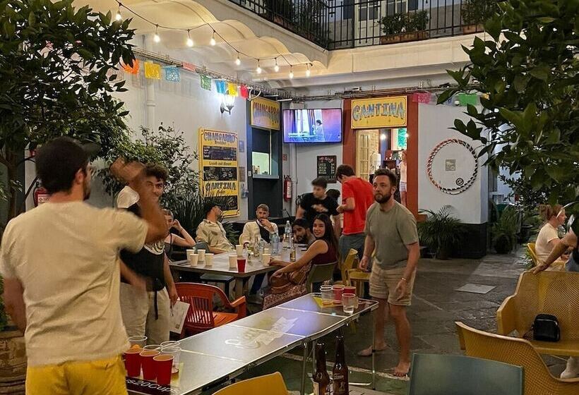 Viajero Cdmx Centro Hostel