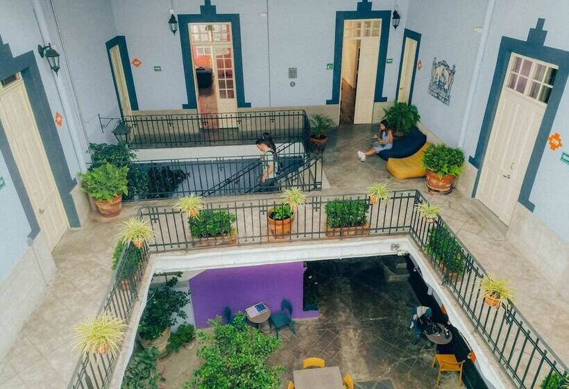 Viajero Cdmx Centro Hostel