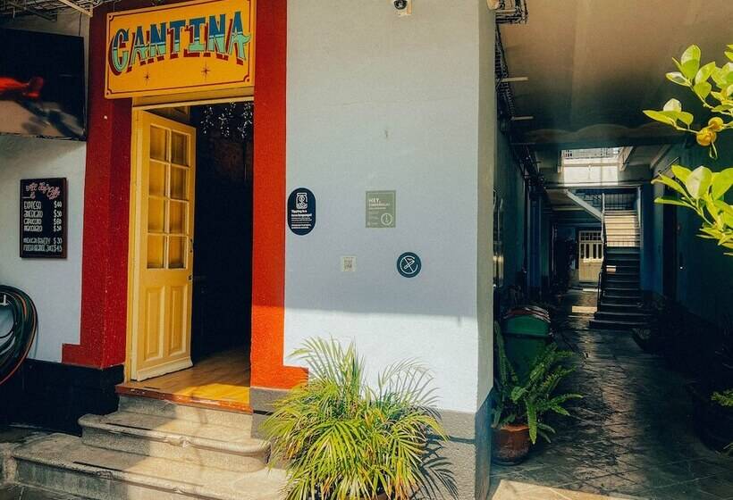 Viajero Cdmx Centro Hostel