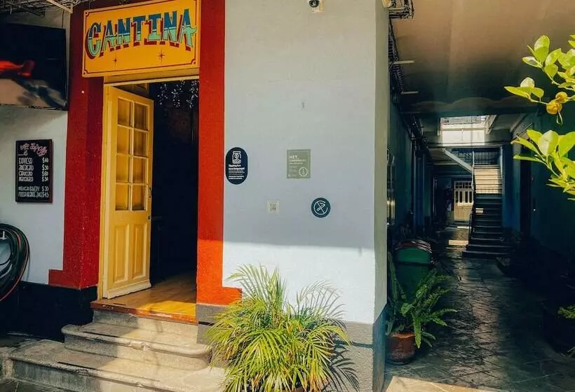 Viajero Cdmx Centro Hostel