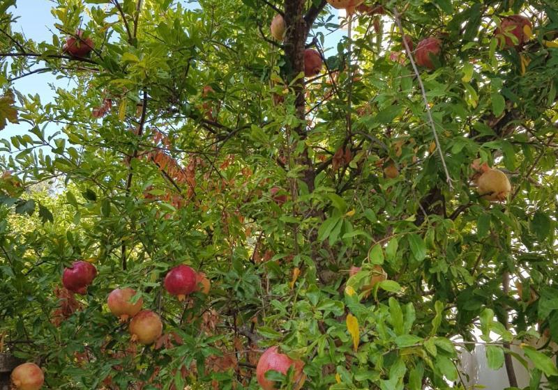 North Wind Hotels Karaburun