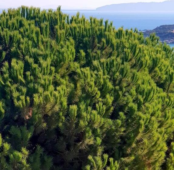 North Wind Hotels Karaburun